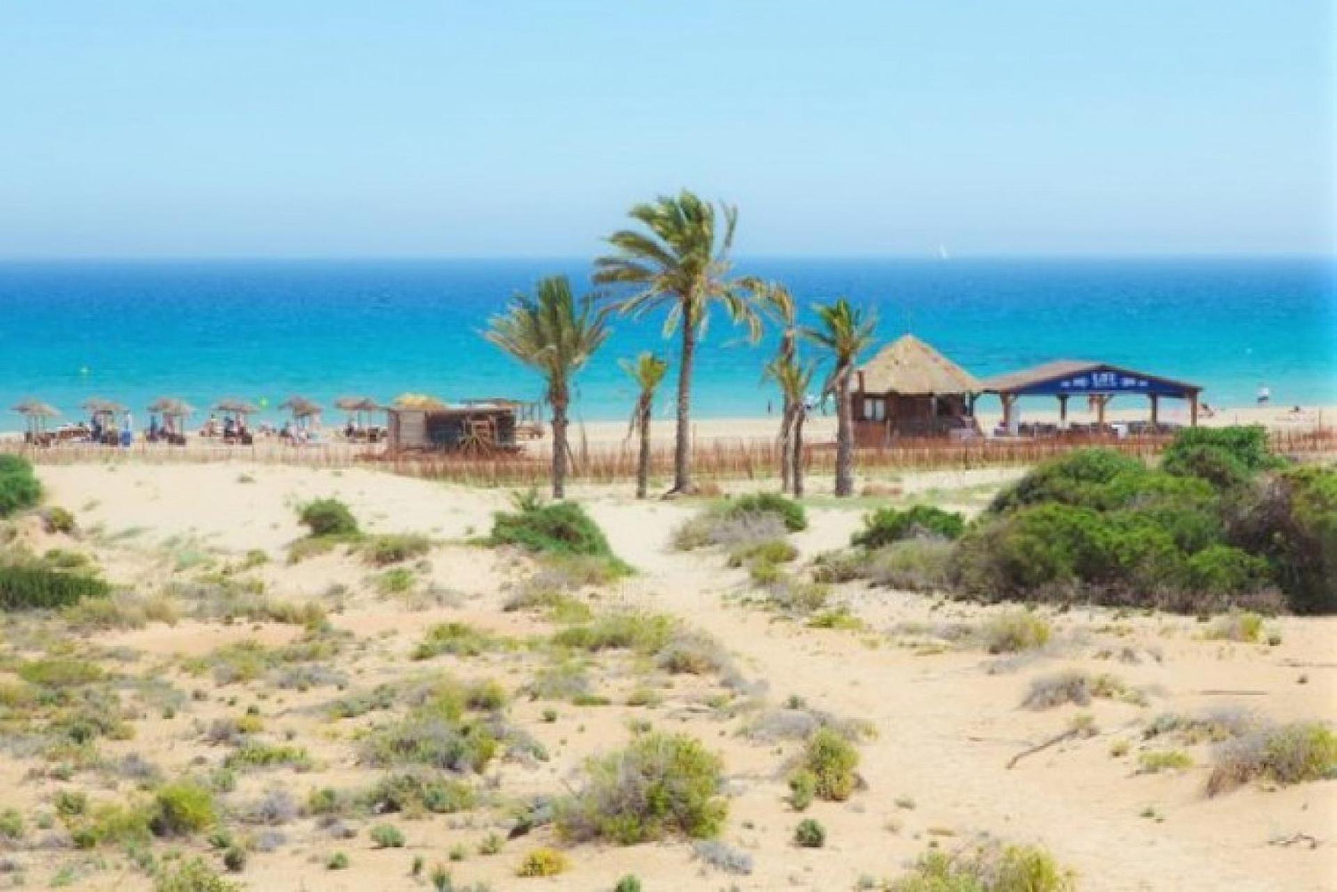 Mediterraneamente Soleado Santa Pola Dış mekan fotoğraf